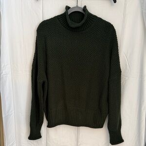 Chunky Turtleneck Knit Sweater in Dark Green